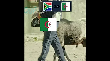 هوما بوندا وانا وحدي بنكهة البطحة 