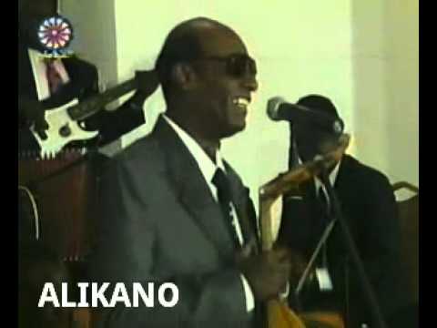 الموسيقار محمد الأمين جانى طيفه طائف