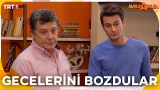 Can ve Gül’ün romantik gecesi bozuldu - Avrupa Avrupa 53. Bölüm