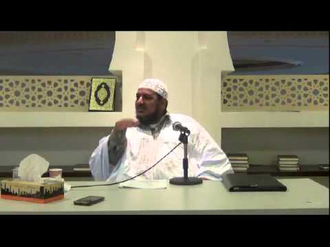 شرح قطر الندى 12 محمد محمود الشنقيطي