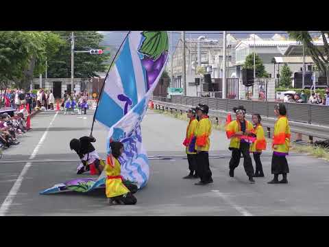 「でらおおぶ」豊川おいでん祭2023【ケヤキ】