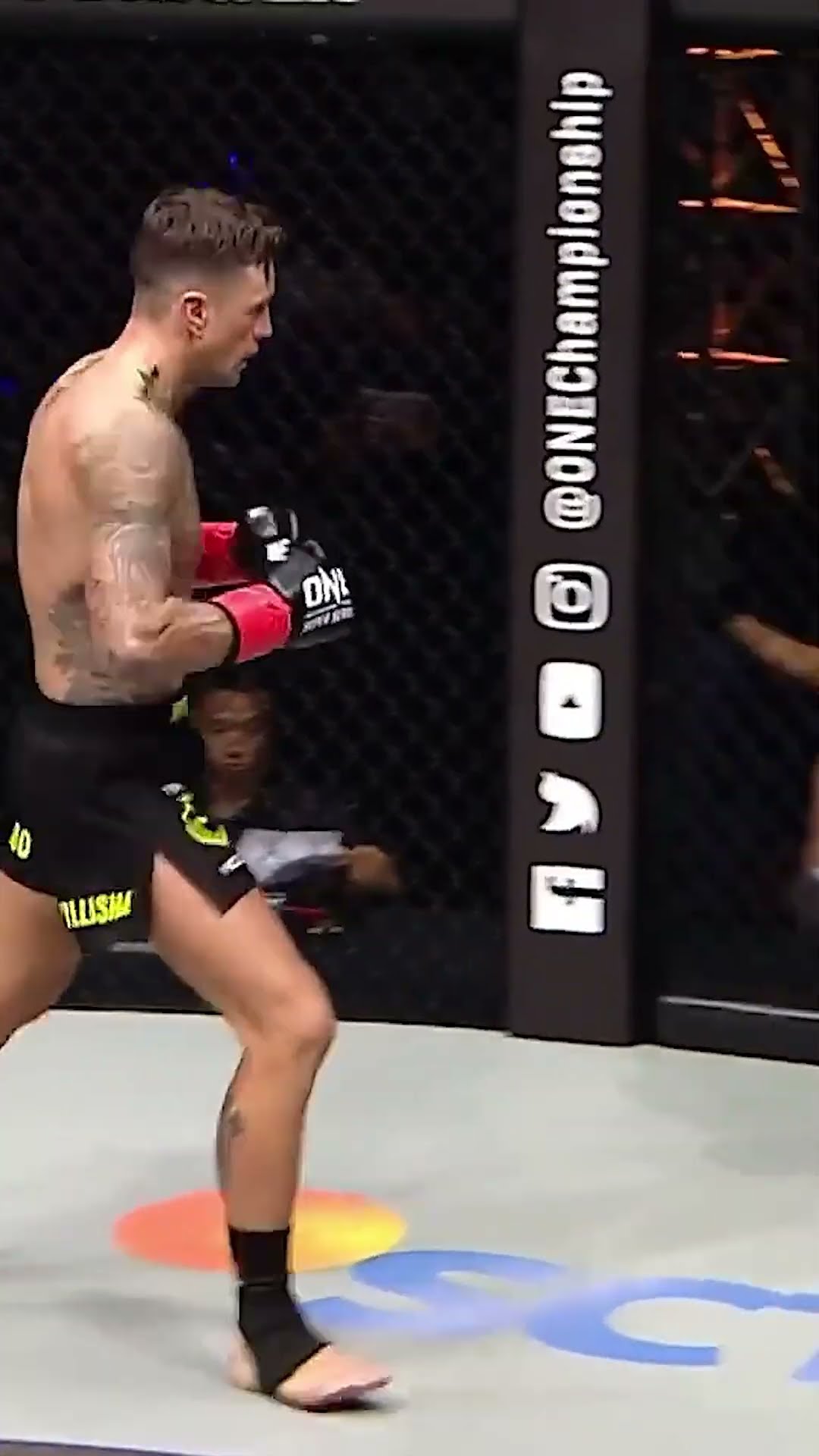 Nieky Holzken picks the PERFECT shots! ?