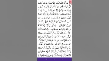 ختام سورة يس ص 445 من آية 71- 83  للحفظ والمراجعة . Holy Quran.