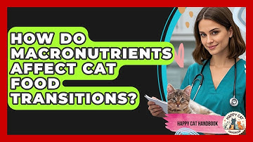 How Do Macronutrients Affect Cat Food Transitions? - Happy Cat Handbook