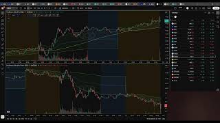 Live Day Trading