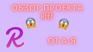 Обзор проекта Reef | Криптовалюта | Перспективный проект | Инвестиции