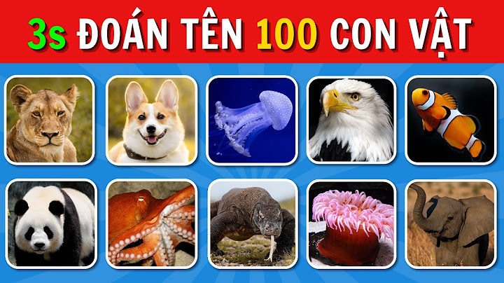 Đoán 100 Con Vật Trong 3 Giây - Thử Thách Vui Nhộn Bạn Không Thể Bỏ Qua!