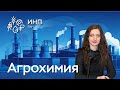Агрохимические холдинги России: успехи и проблемы