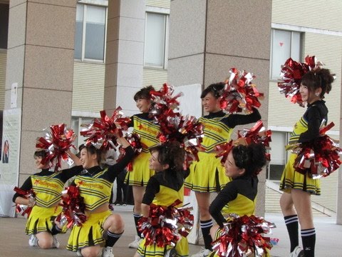 福山大学チアダンス部SPARKY@Chushikoku Cheerleader 2016 AutumnⅡ