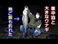 【車中泊】野営をしてたら大きなウナギ！ジムニーと休日小冒険！