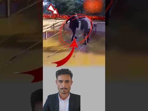 عندما نتكئ على بعضنا نستطيع عبور أدق الطرق دون سقوط ونبلغ نهاياتنا بثبات