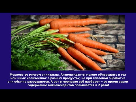 Интересные факты о моркови. А вы знали об этом? Будь умным!