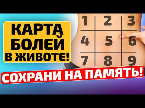 Как быстро узнать, почему болит живот? Карта болей живота