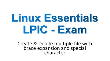 Create & Delete multiple files, Linux Essentials, Linux Professional Institute -  LPIC Examination