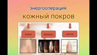 #энергооперация Кожный покров (кожа, волосы, ногти, сальные и потовые железы)