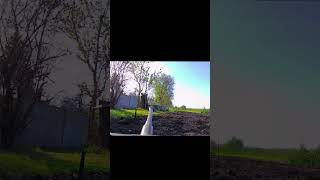 #tiger  #panzer #rc #model  #airsoft