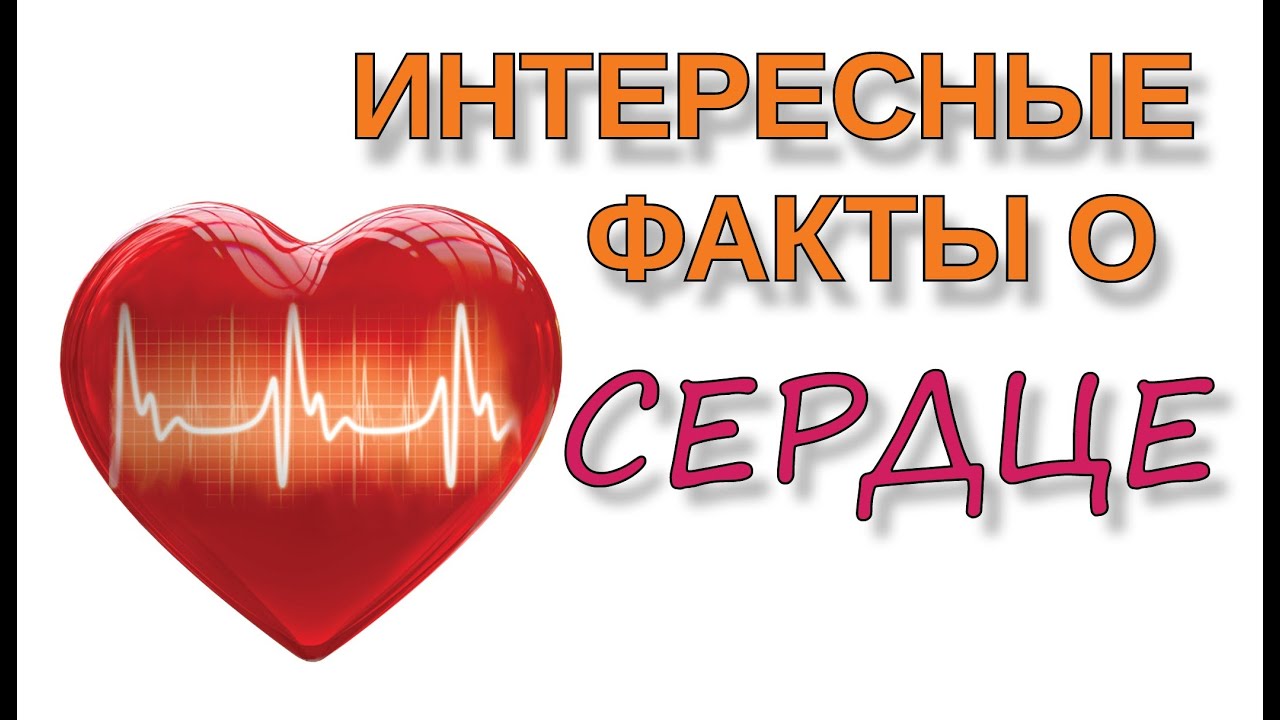 Светлана Лобода иТилль Линдеманн тайно сходили насвидание вБерлине новейшие фото Светлана Лобода иТилль Линдеманн тайно сходили насвидание вБерлине новое фото