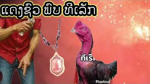 Tham thaib khub qaib ej no ncaws tag kis 14/12/2025 