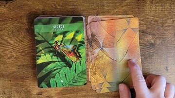 New Release: Messages from the Spirits of Nature Oracle by Steven D. Farmer 