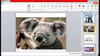 حل 125 سؤال لمادة البوربوينت PowerPoint دورة التحول الرقمي شاملة الأسئلة الجديدة والقديمة