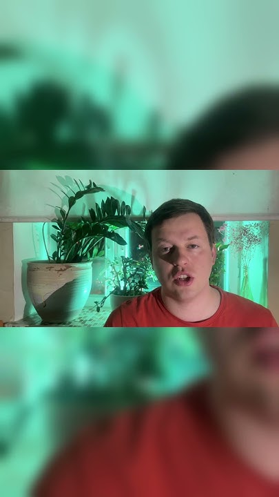 Дубай Причем тут НЕФТЬ #Дубай #ОАЭ #Набебин - YouTube