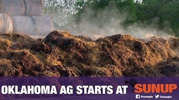 Evaluating Hay Quality (7/20/19)