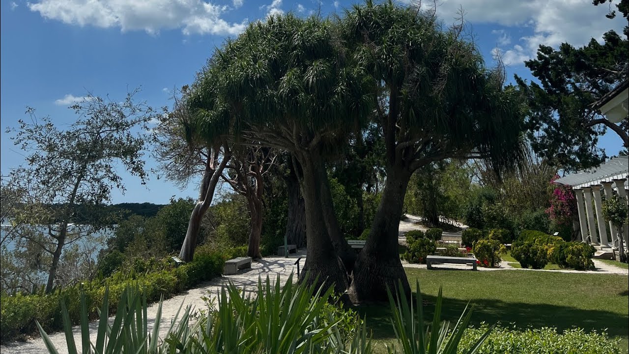 EPISODE 3 - Marie Selby Gardens @ Spanish Point - Wedding Venue Tours