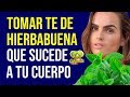 Comienza A Tomar TE DE HIERBABUENA Todos Los Dias Y Mira Lo Que Le Sucede A Tu Cuerpo