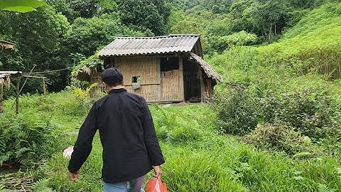 Thăm bố em Đồn gà H.mong ở cùng người cháu hiếu thảo. Nguyễn Tất Thắng