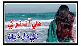 Hali Aa Ta Tokha Likhi Dil Diyan Khalid Hussain Bhatti Ar Song Offlcial