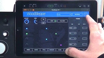 Woodstepper Demo Quick Start Guide