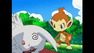 Chimchar vs Zangooses | Pokemon Battle Dimensions