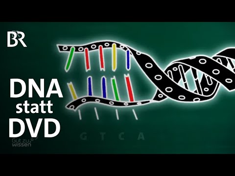 Video: Warum speichert DNA Informationen?