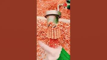 Interesting tool to remove corn kernels #shorts #agriculture #viral #foryou #satisfying #corn #new