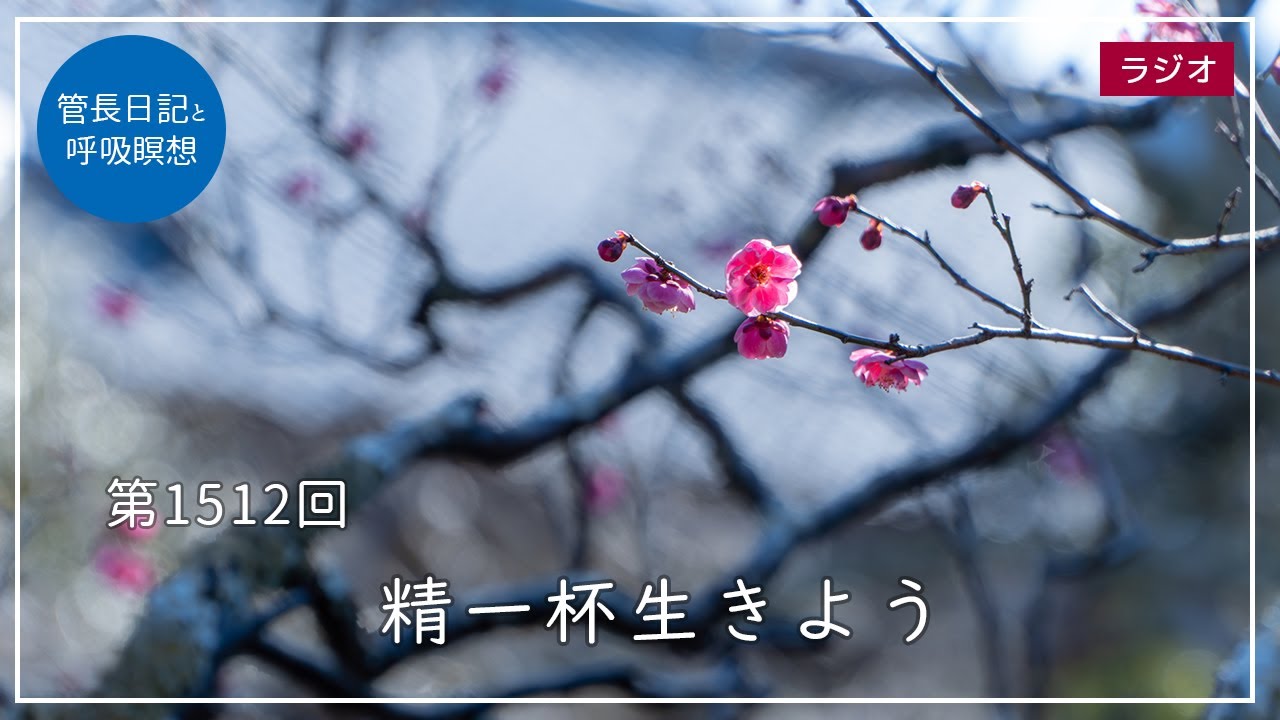 松原泰道氏直筆色紙 松原泰道氏直筆色紙