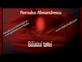 Romulus Alexandrescu - Baiatul Tatei