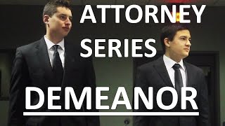 Demeanor-Attorneys