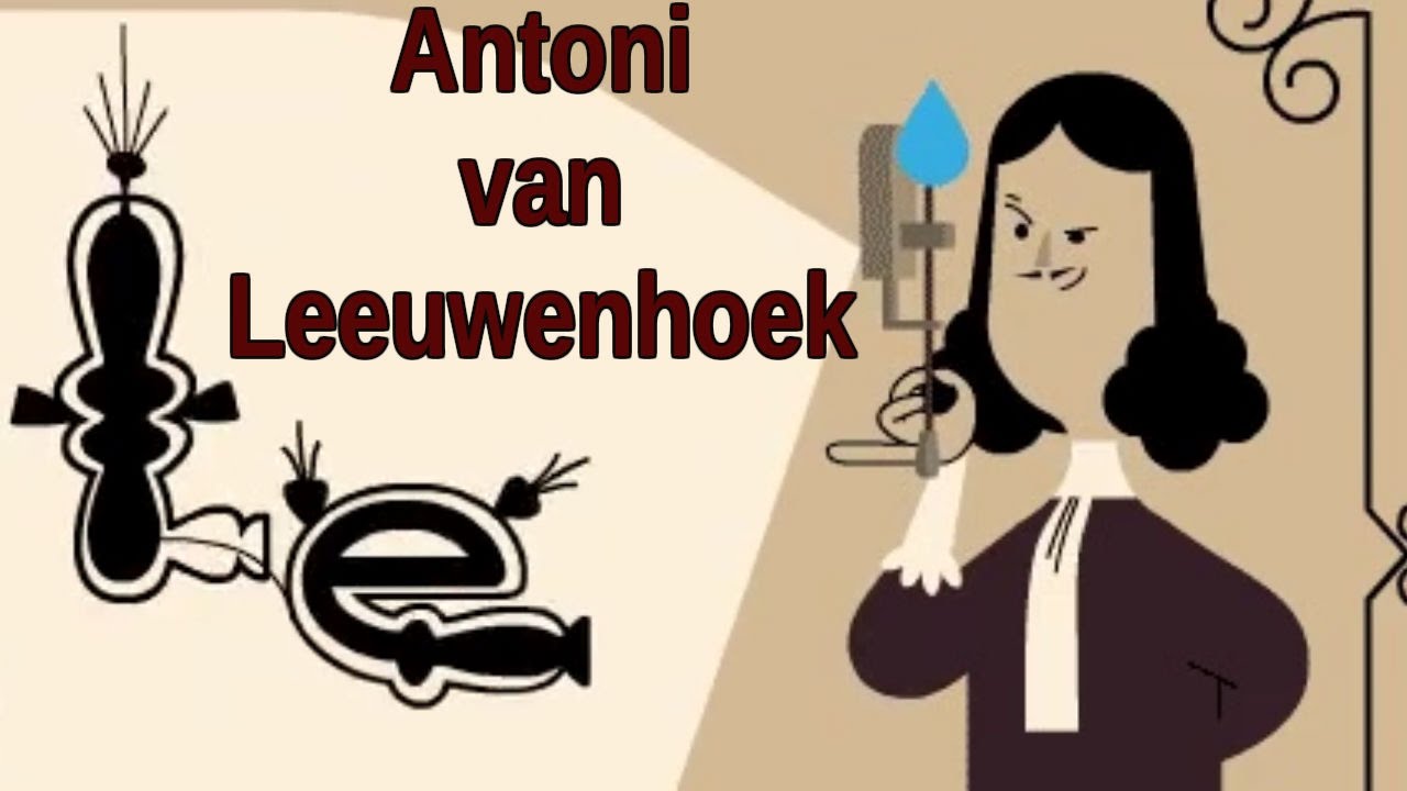 Antoni Van Leeuwenhoek Google Doodle Antoni Van Leeuwenhoek Is