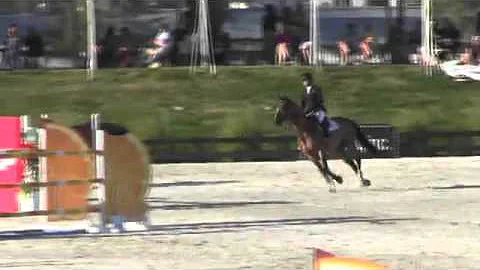 Video of Barnetta ridden by Sharn Wordley from Sho...