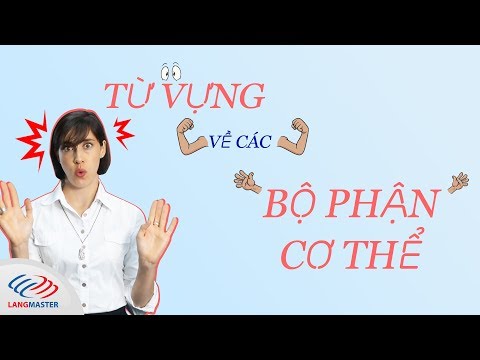 Từ vựng tiếng anh chủ đề các bộ phận trên cơ thể con người