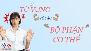 Từ vựng tiếng anh chủ đề các bộ phận trên cơ thể con người