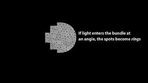 3D Fiber Imaging of Tissues