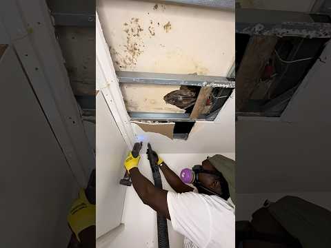 Patching Old Bathroom Ceiling Diy