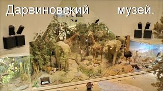 Государственный Дарвиновский музей. Часть 1 видео Государственный Дарвиновский музей