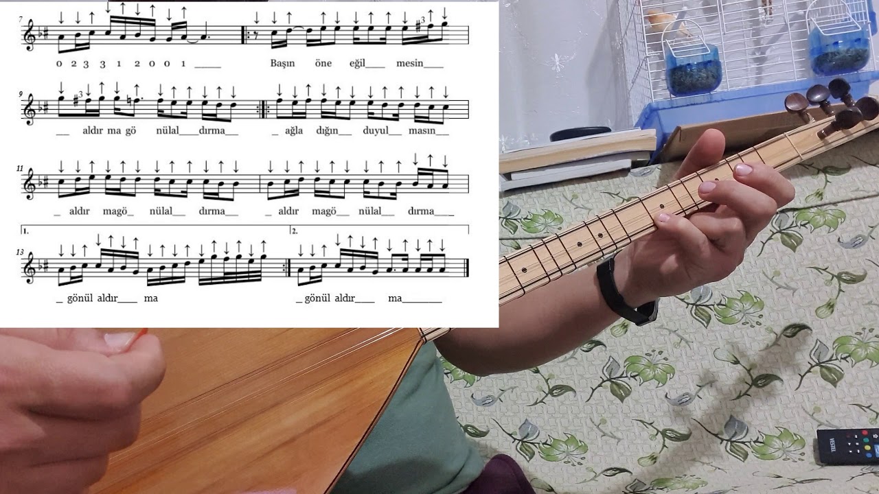 ALDIRMA GÖNÜL #solfej hicaz türkü