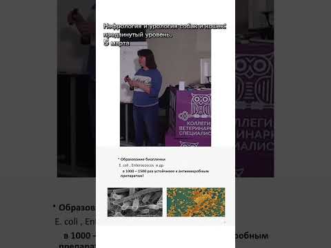 Что такое биопленка? Где она образуется? Если хотите больше узнать — приходите на курс!
