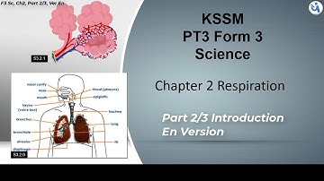 #PT3 #KSSM #Science | Form 3 | Chapter 2 |  Respiration | Part 2/3, En