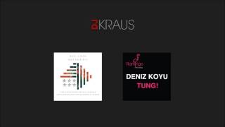 The Chainsmokers & Jenaux vs Deniz Koyu - Not So Dirty Tung (DJ Kraus Mashup)