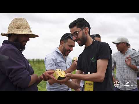 مهرجان البطيخ الذي نظم في منطقة مراكش