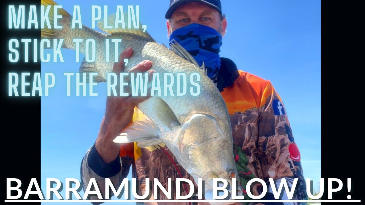 How to catch barramundi on lure for beginners, by a beginner. 